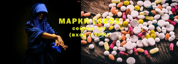 спиды Магас