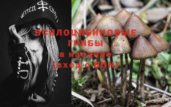 спиды Магас