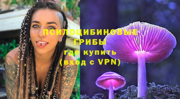 амф Мегион