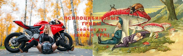 а пвп мука Майский