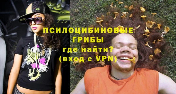 mdpv Медногорск