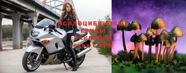 тгк Медвежьегорск