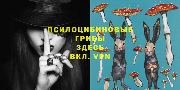 амф Мегион