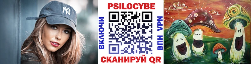 Галлюциногенные грибы Psilocybine cubensis  Межгорье 